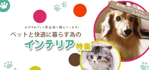 滋賀 DIY＆リフォームショップREROOM【ペット特集 滑り止め】